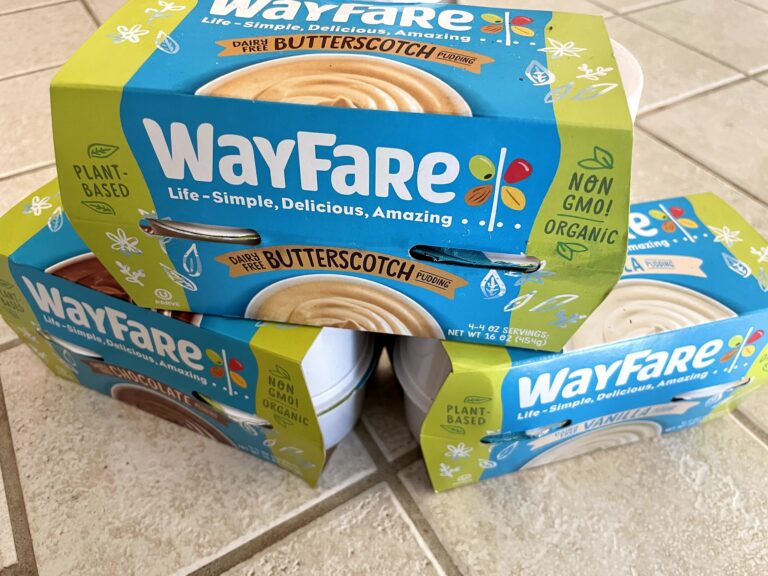 WayFare Plant-Based Pudding – Kid Approved!